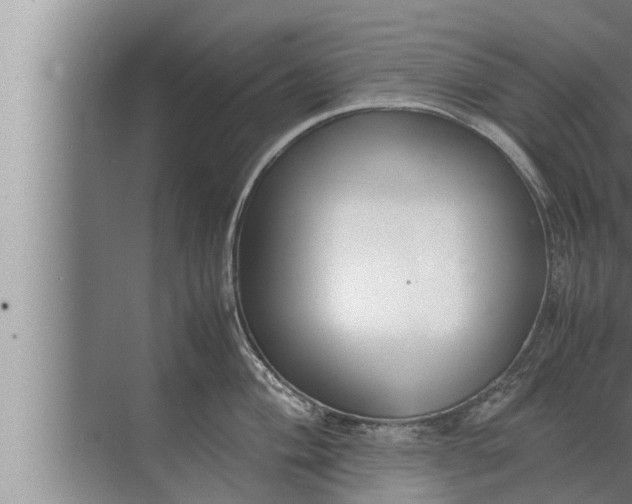 X0000072501004200607290101