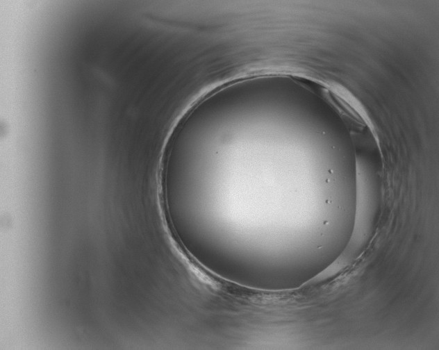 X0000072501005200607290101