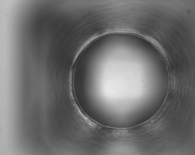 X0000072501006200607290101