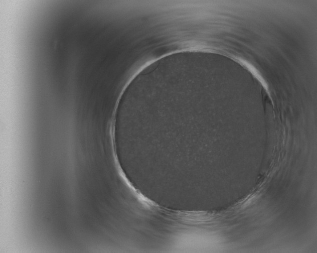 X0000072501007200607290101