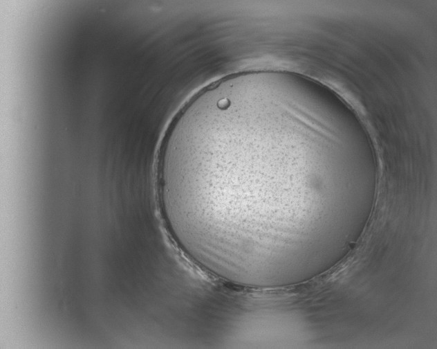 X0000072501008200607290101