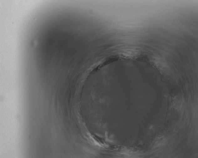 X0000072501009200607290100