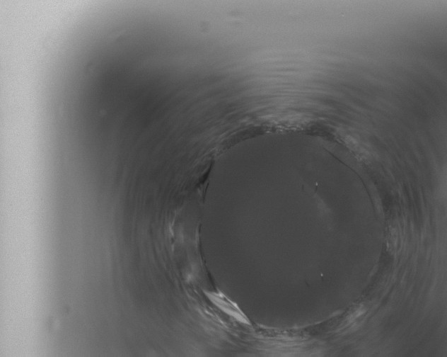 X0000072501010200607290100