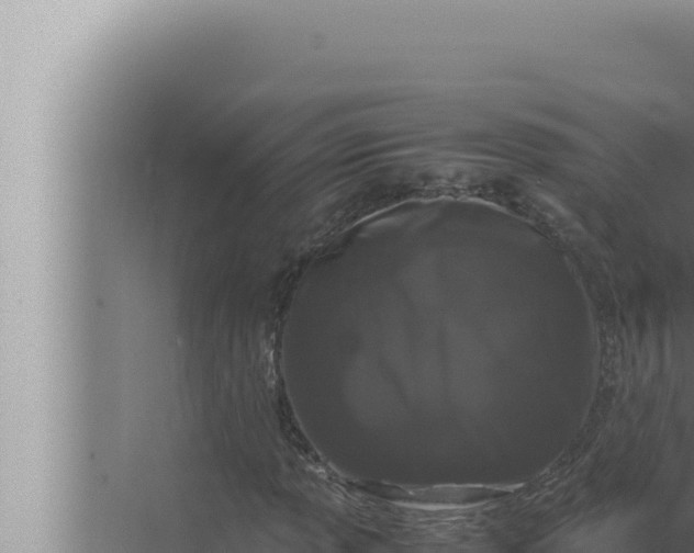 X0000072501013200607290100