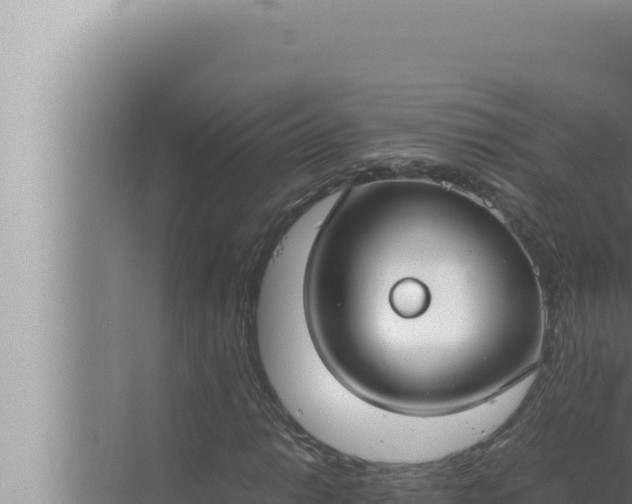 X0000072501014200607290100