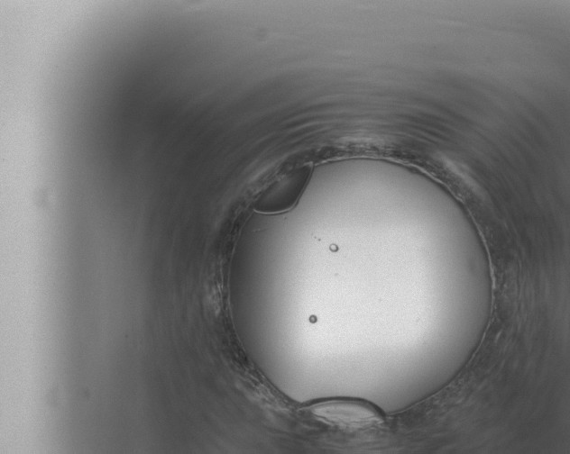 X0000072501015200607290100