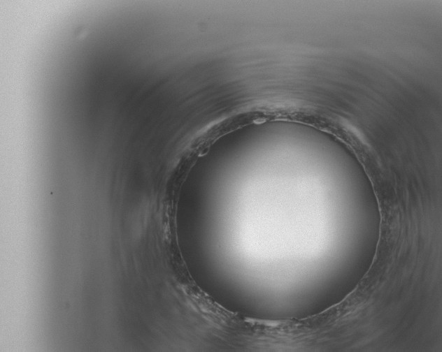 X0000072501016200607290100