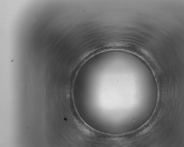 X0000072501017200607290100