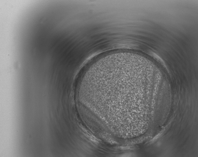 X0000072501019200607290100