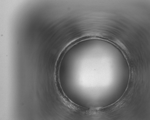 X0000072501020200607290100