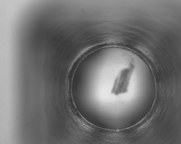 X0000072501021200607290100