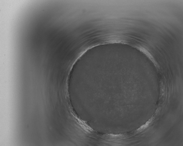 X0000072501023200607290100