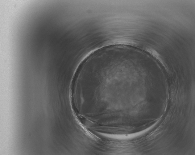 X0000072501024200607290100