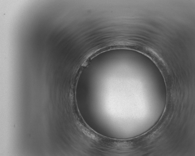 X0000072501025200607290100