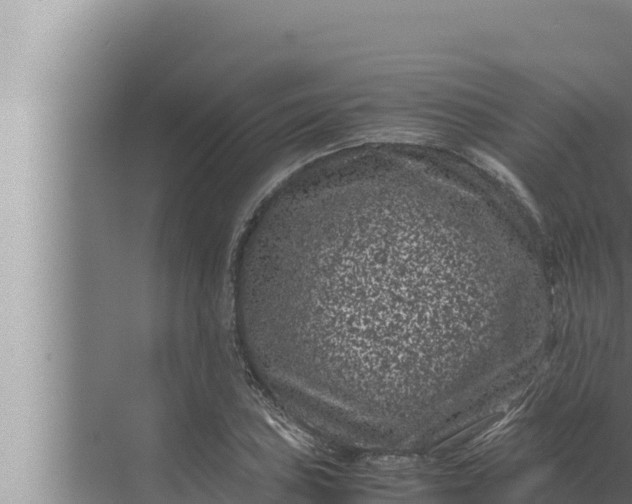 X0000072501027200607290100