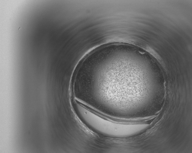 X0000072501028200607290100