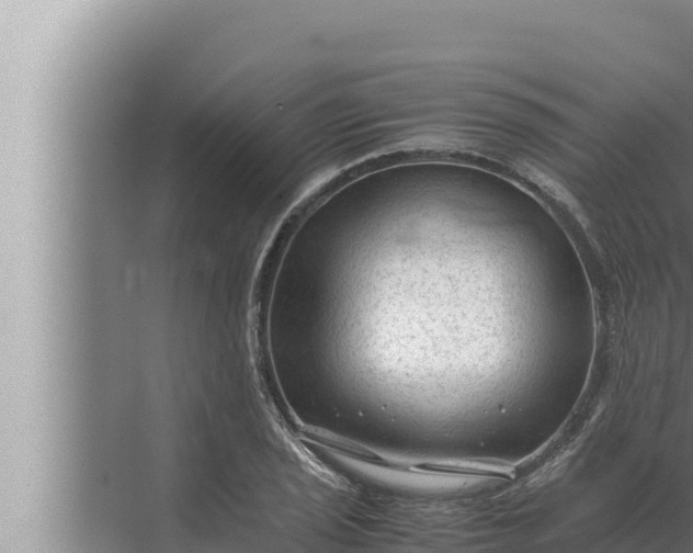 X0000072501029200607290100