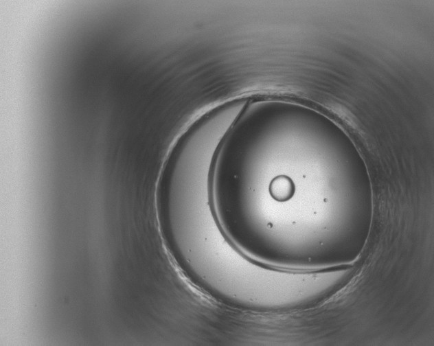 X0000072501030200607290100