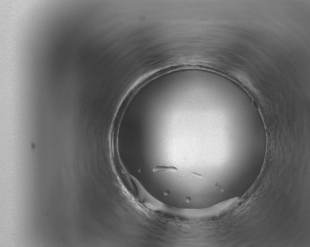 X0000072501032200607290100