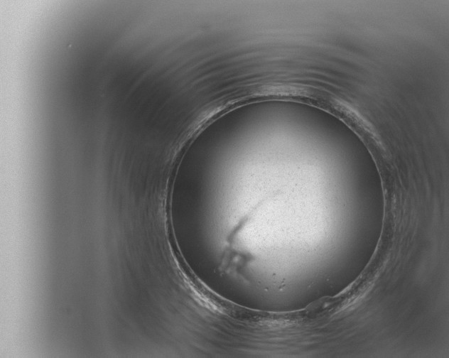 X0000072501033200607290100