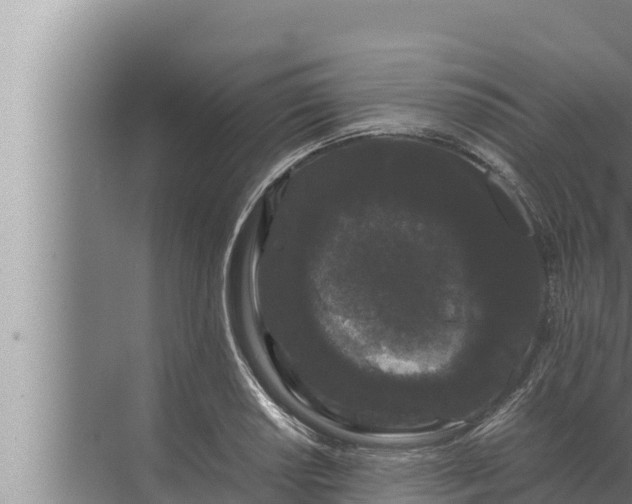 X0000072501034200607290100