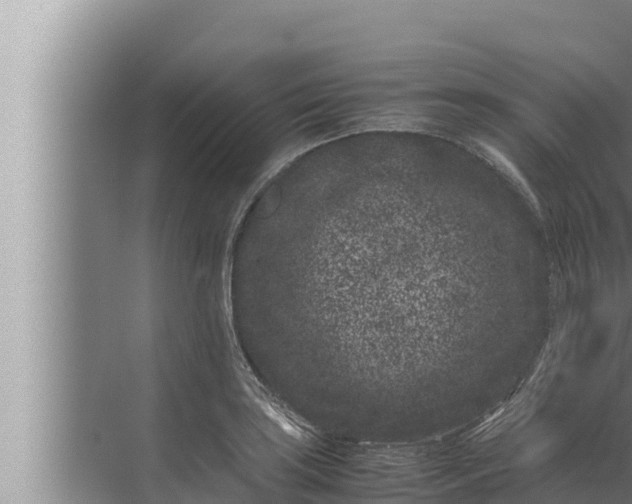 X0000072501035200607290100