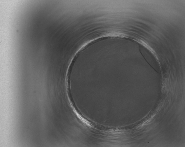 X0000072501037200607290100