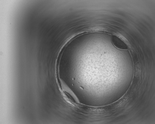 X0000072501039200607290100