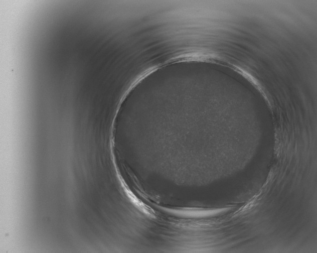 X0000072501042200607290100