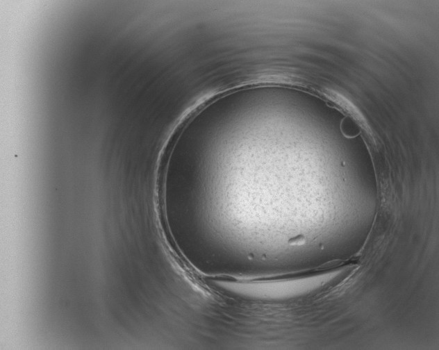 X0000072501043200607290100