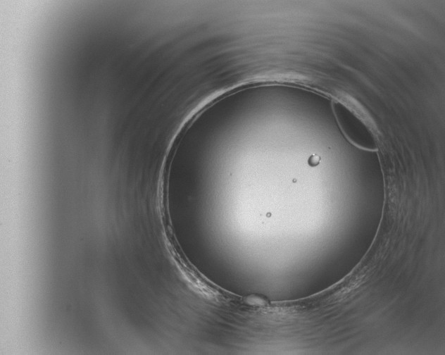 X0000072501044200607290100