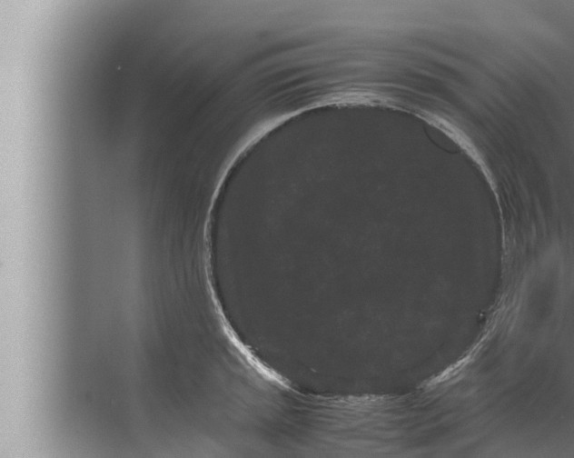 X0000072501045200607290100