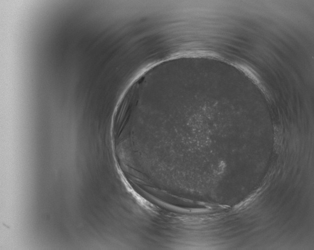 X0000072501046200607290100