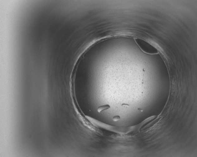 X0000072501047200607290100