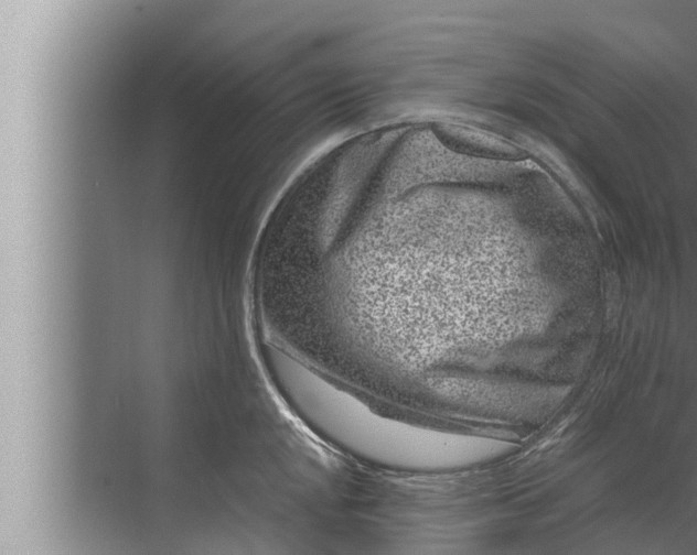 X0000072501048200607290100