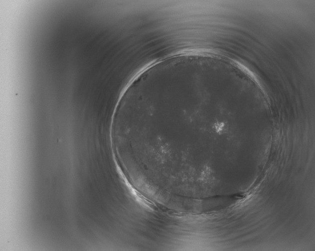 X0000072501050200607290100