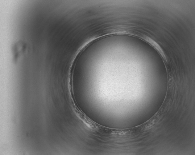 X0000072501051200607290100