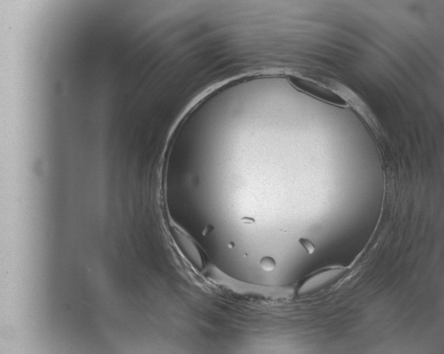 X0000072501052200607290100