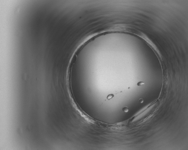 X0000072501053200607290100