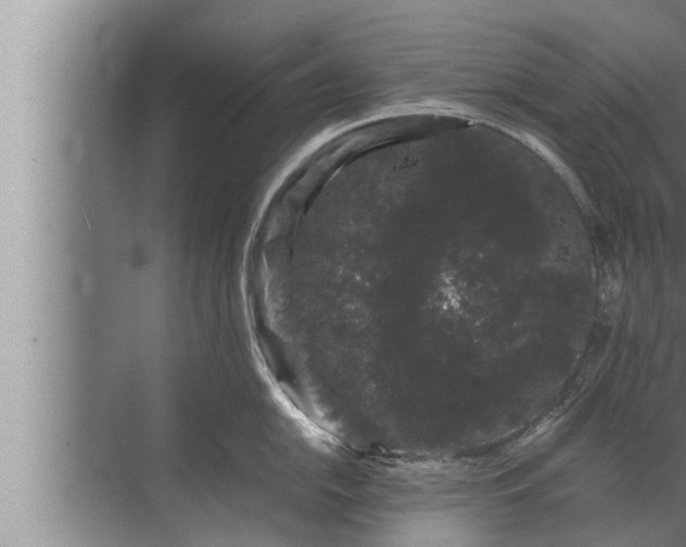 X0000072501054200607290101