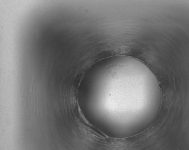 X0000072501058200607290100