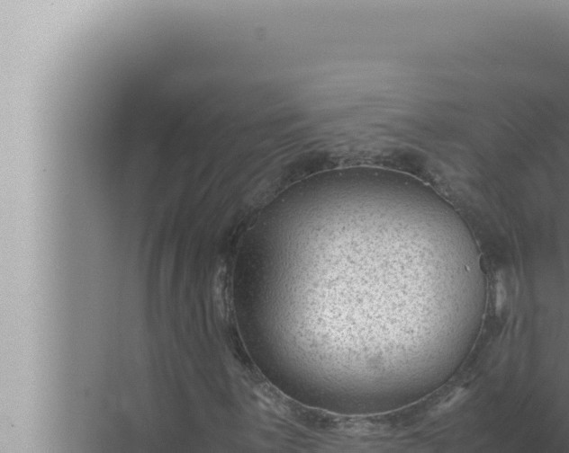 X0000072501059200607290100