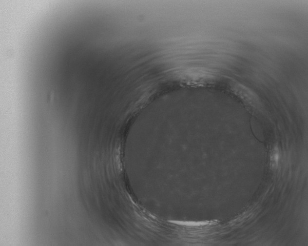 X0000072501060200607290100