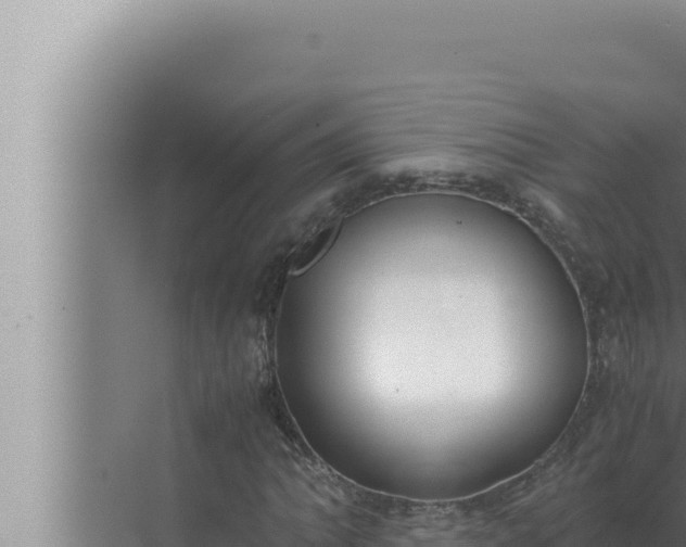 X0000072501062200607290100