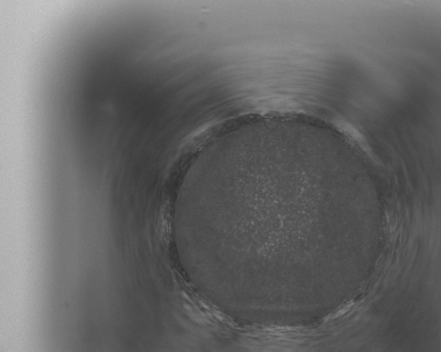 X0000072501063200607290100