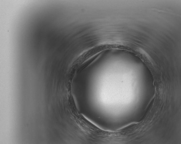 X0000072501064200607290100