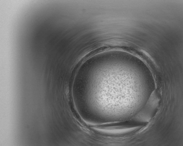 X0000072501065200607290100