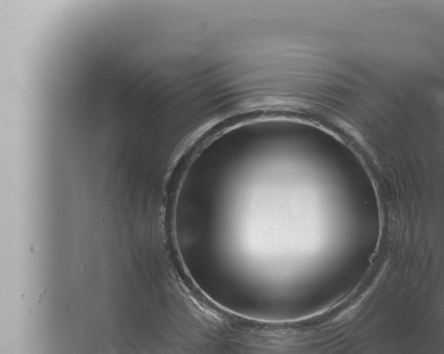 X0000072501066200607290100