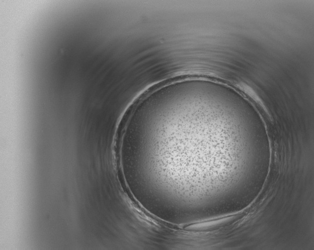 X0000072501068200607290100