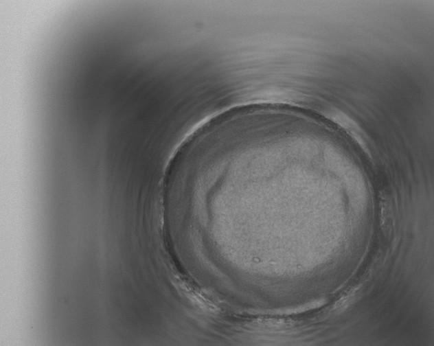 X0000072501069200607290100